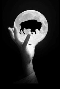 Bison Moon Group Inc.